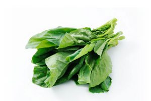 Leafy Fresh Chinese Broccoli (Gai Choy)