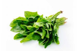 Leafy Fresh English Spinach