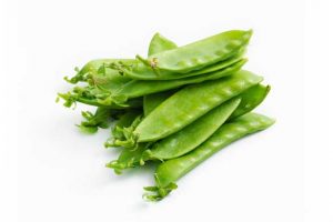 Snappy Little Snow Peas