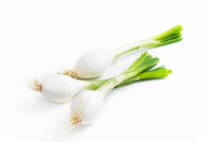 Fresh Fragrant Spring Onions