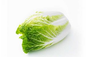 Leafy Fresh Wombok Cabbage