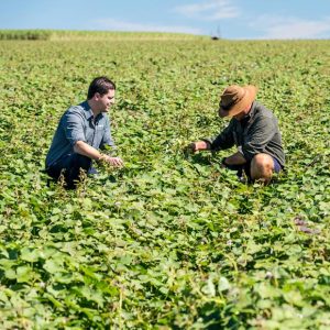 Article - The boots of a farming boss