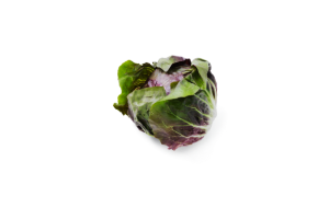 Leafy Fresh Radicchio