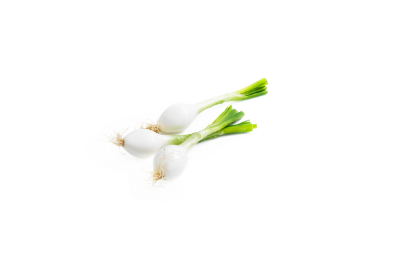 Fresh Fragrant Spring Onions