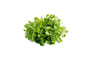 Leafy Fresh Watercress