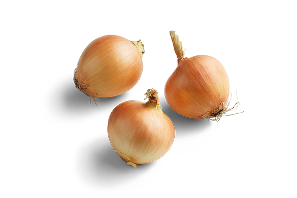 Tasty Brown Onions