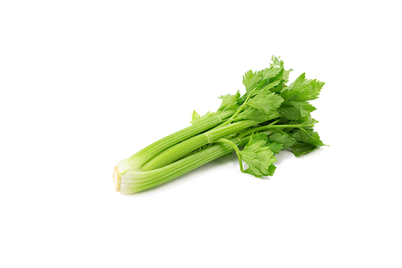 Crispy Fresh Celery