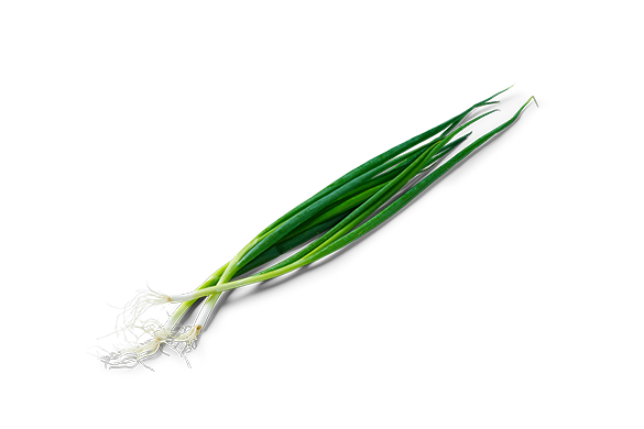 Delicate & Sweet Leeks