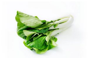 fresh-grown-buk-choy-suppliers-wholesalers-hydro-produce-australia