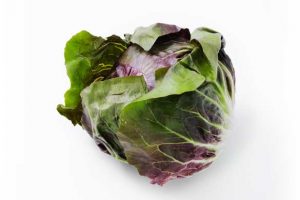 Leafy Fresh Radicchio