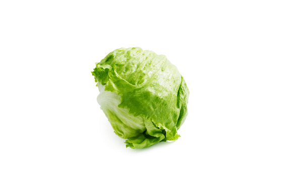 Crispy Crunchy Iceberg Lettuce