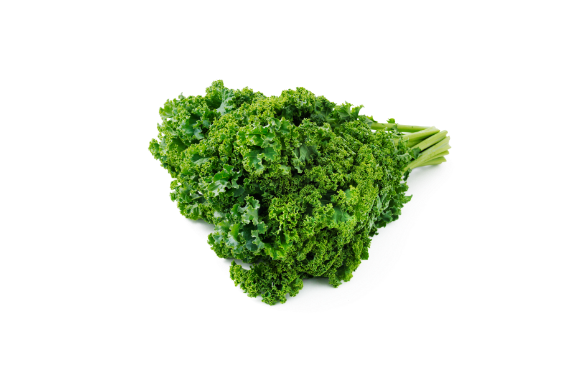 Leafy Fresh Kale Varieties