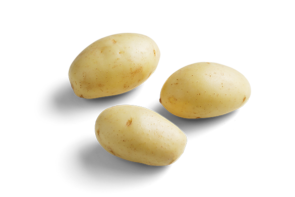 Tasty White Potatoes